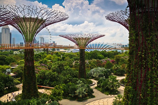 Singapore - Tp. Hồ Chí Minh